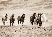Load image into Gallery viewer, &quot;Rolling Thunder&quot;       Wild Horse Photograph.
