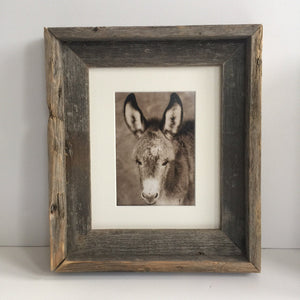 Wild Burro print, Donkey photograph,Wild Burro Photograph."Walk About"