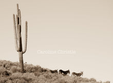 Load image into Gallery viewer, &quot;Bye,bye Burros&quot;Wild Burro Photograph.
